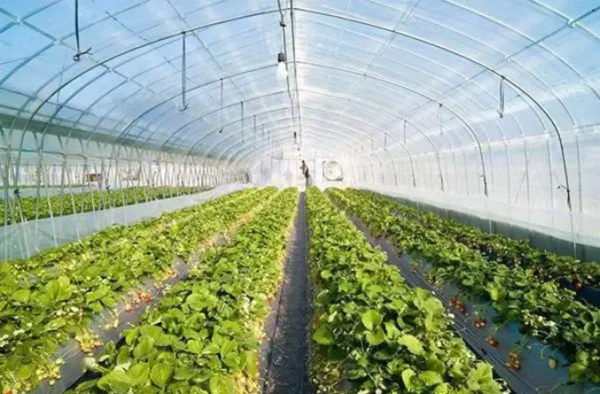 建有机肥厂