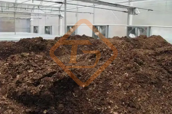 印度:蚯蚓把城市有机垃圾变成绝佳肥料